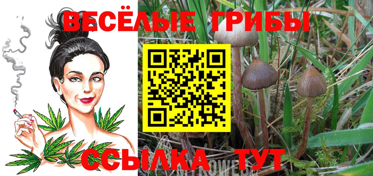 Галлюциногенные грибы мухоморы Камень-на-Оби